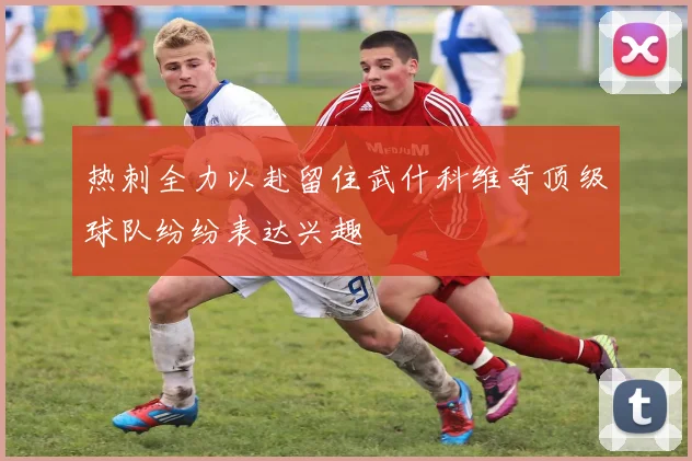热刺全力以赴留住武什科维奇顶级球队纷纷表达兴趣